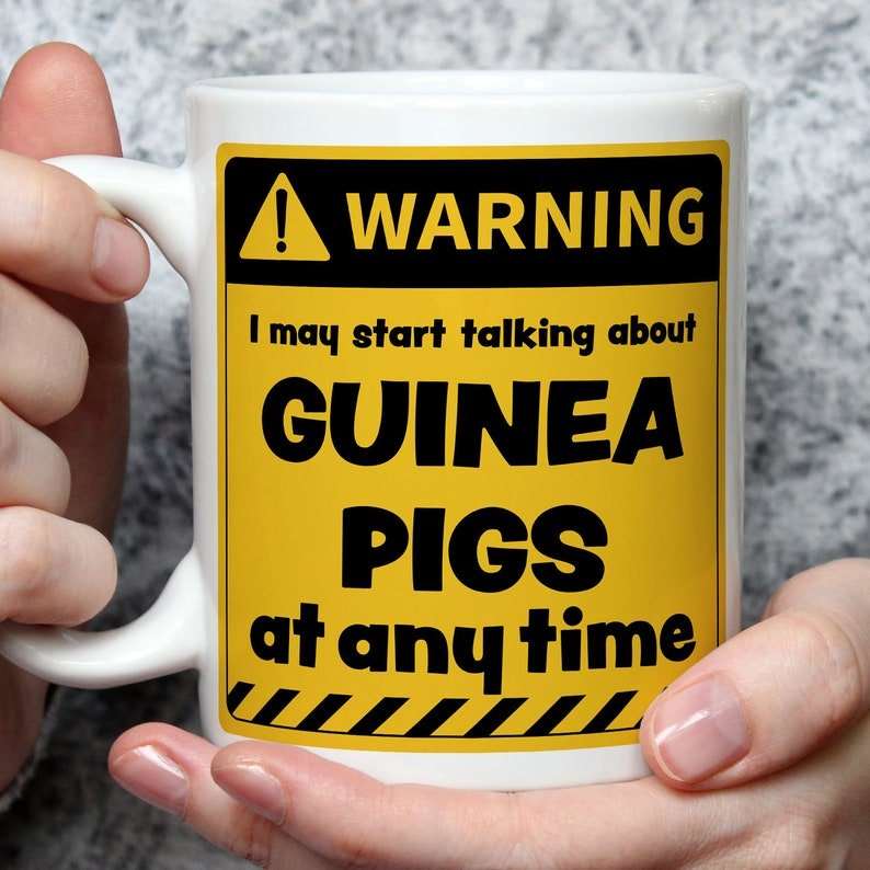 Warning! I May Start Talking About Guinea Pigs at Any Time Mug