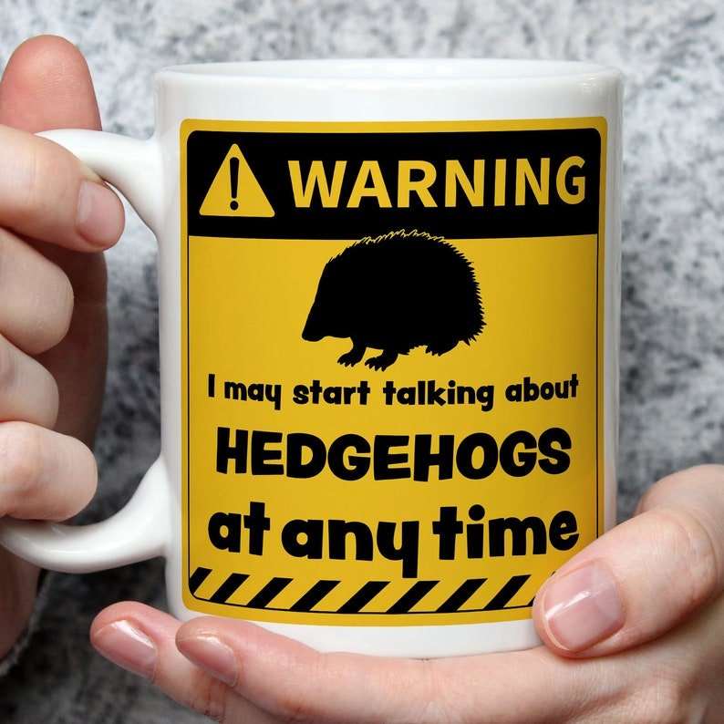 Warning! I May Start Talking About Hedgehogs at Any Time Mug